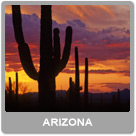 Arizona